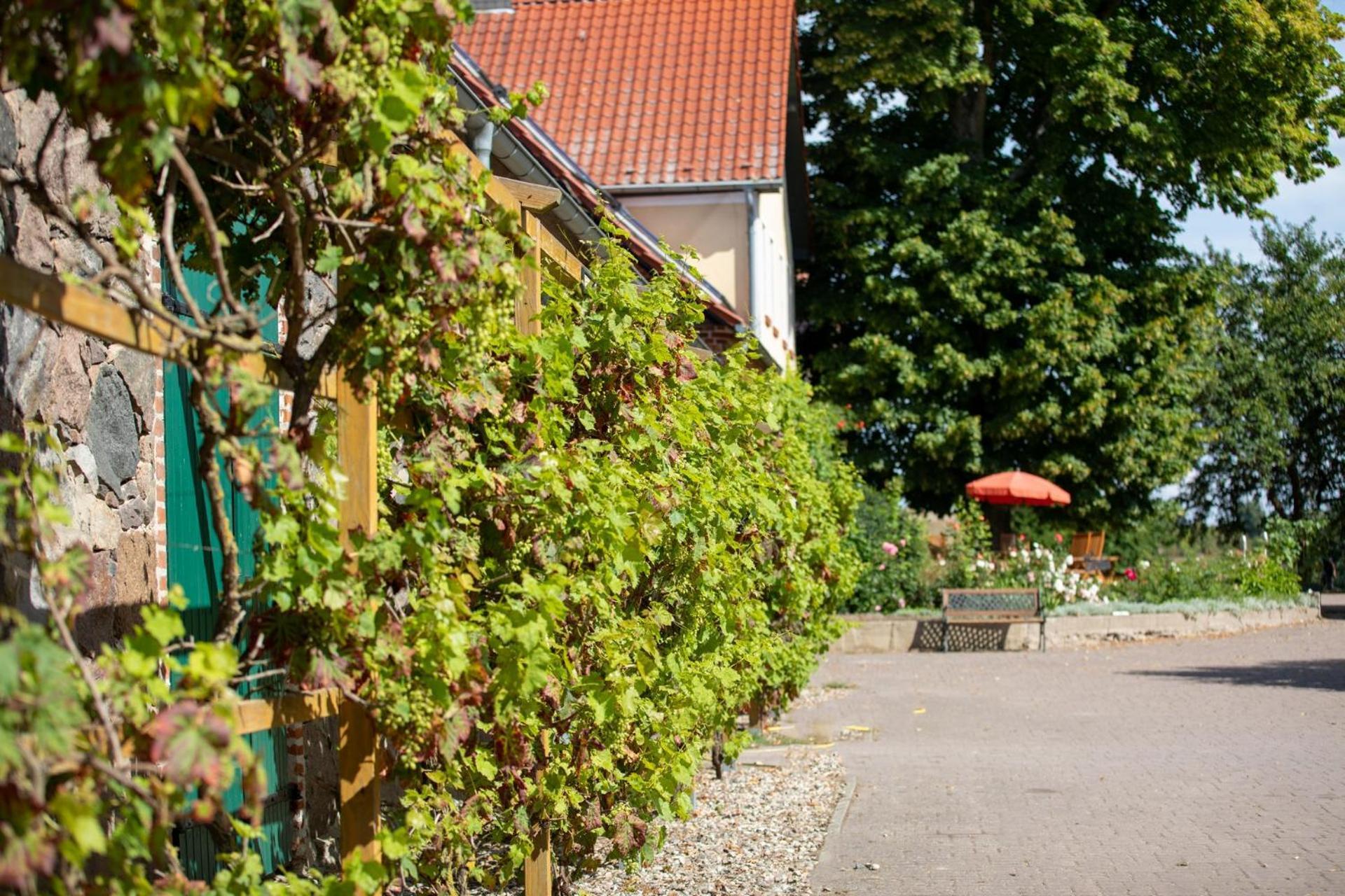 Apartamento Landurlaub Auf Dem Mellenhof Funkenhagen Exterior foto