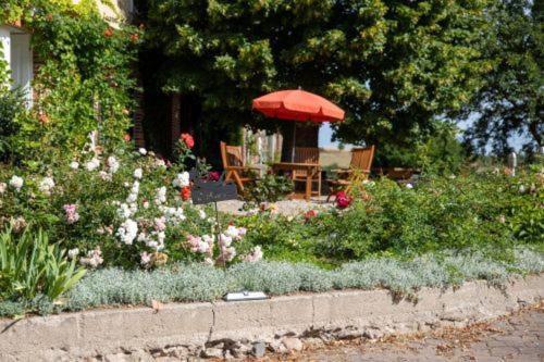 Apartamento Landurlaub Auf Dem Mellenhof Funkenhagen Exterior foto